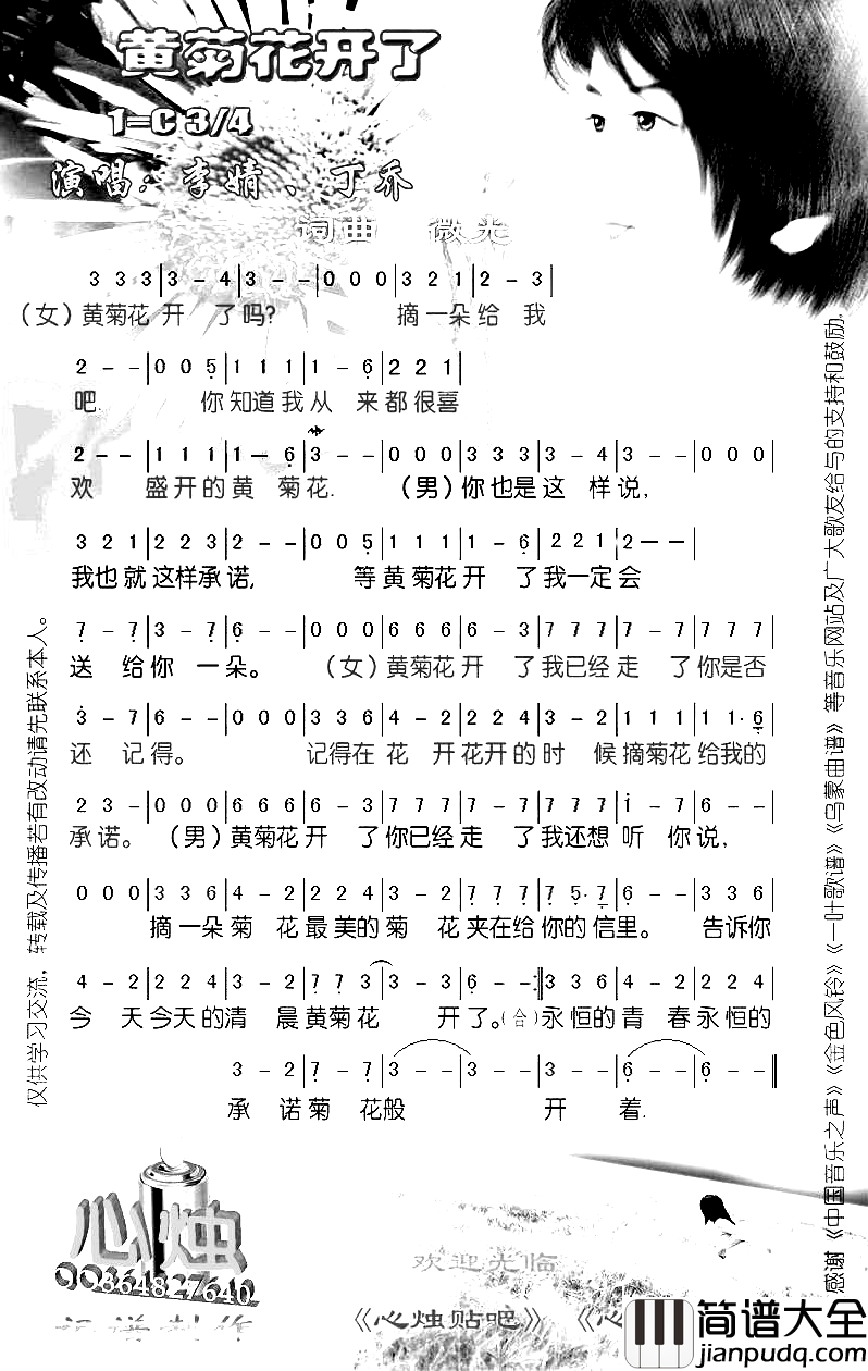 黄菊花开了简谱
