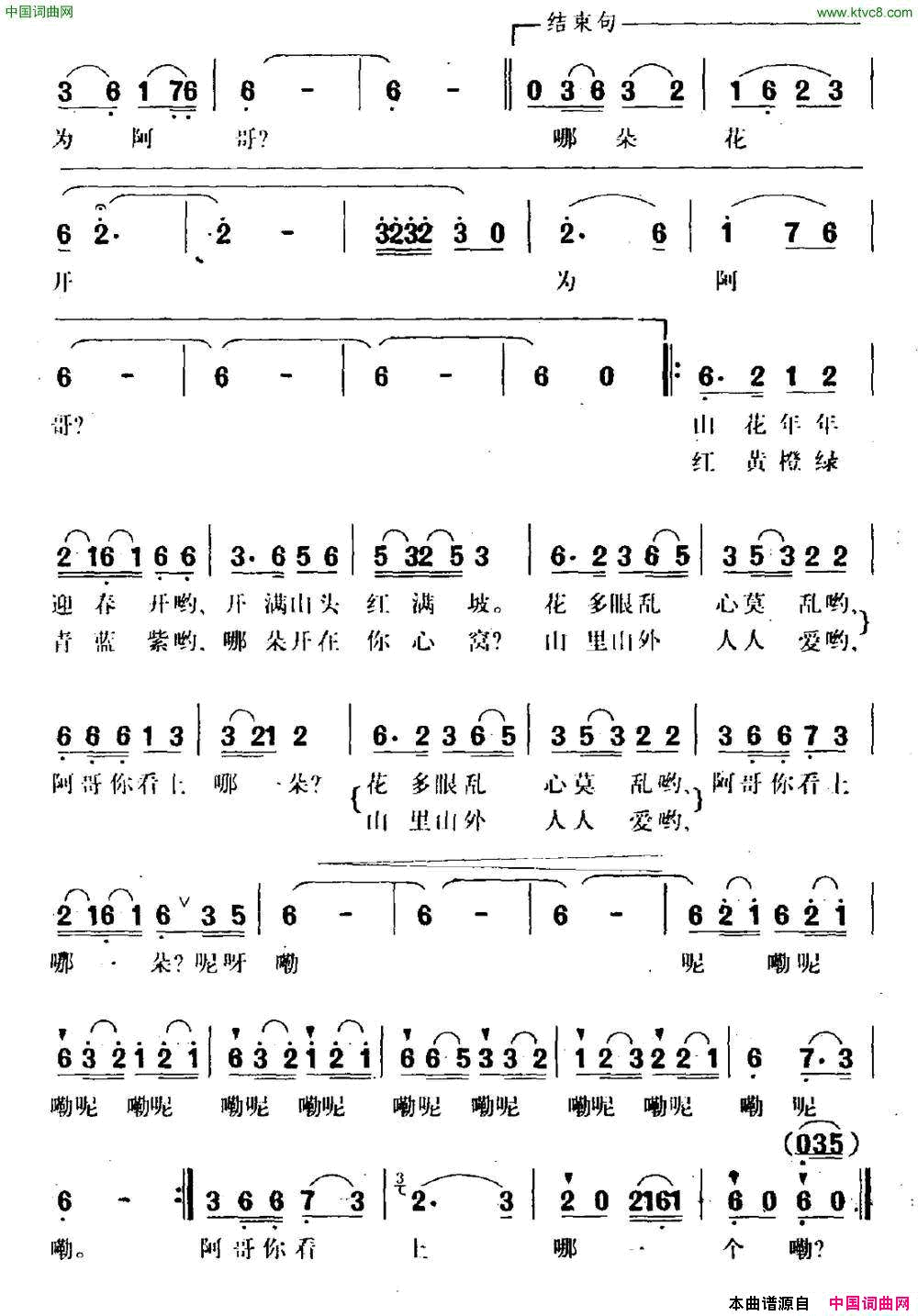 哪朵花开为阿哥简谱