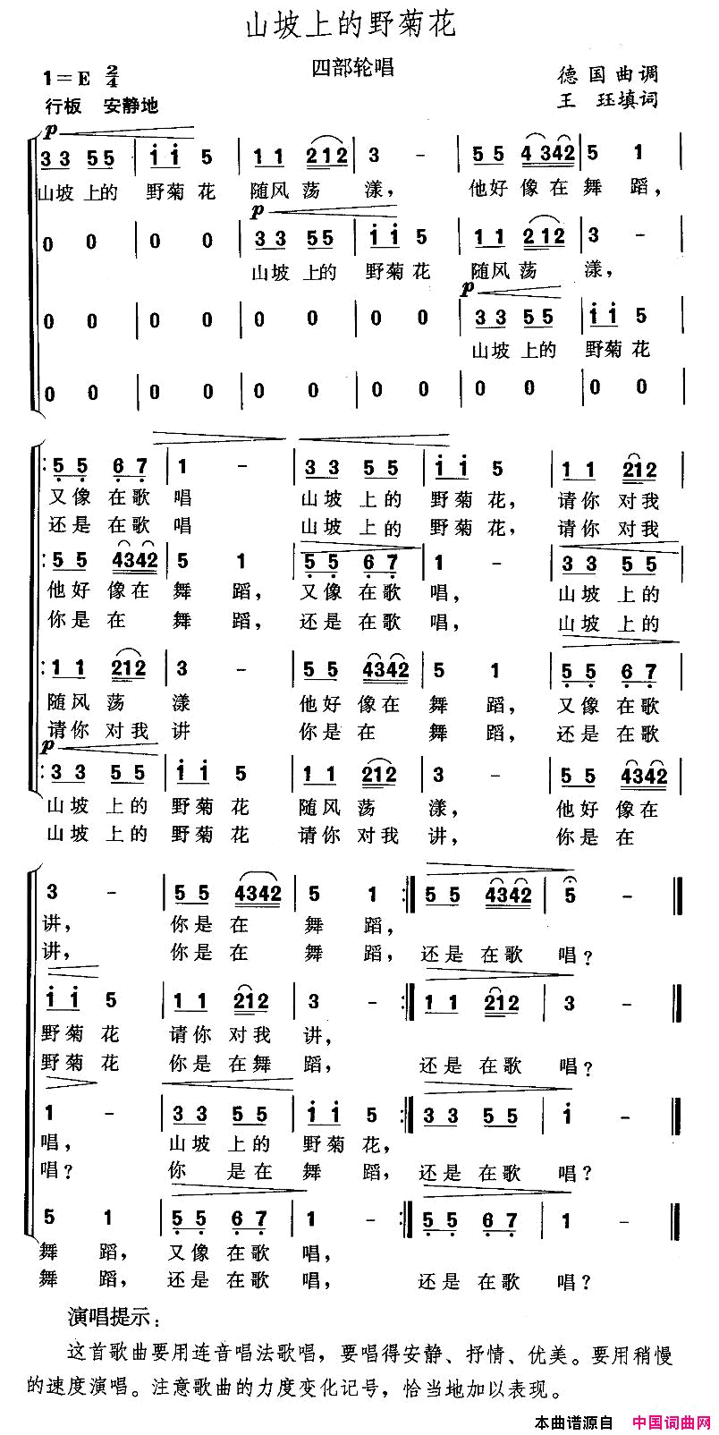 山坡上的野菊花四部轮唱简谱