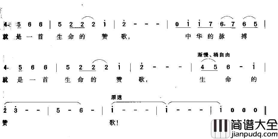 脉搏简谱