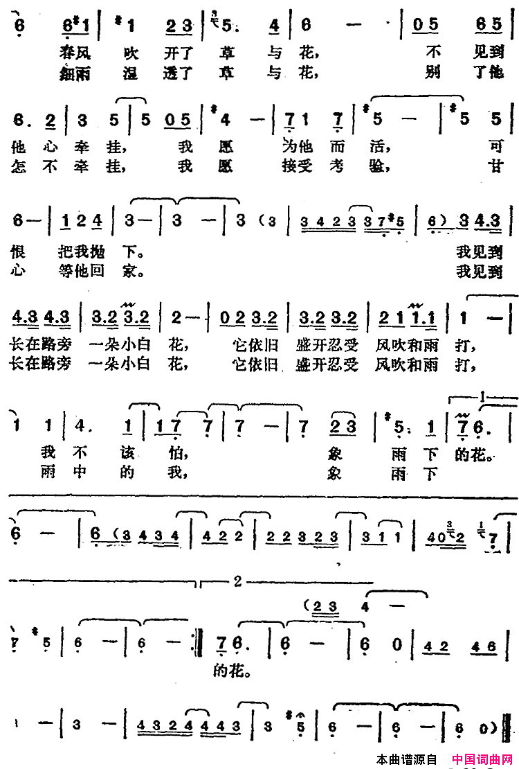 邓丽君演唱金曲：雨下的花朵简谱_邓丽君演唱_文采/猪俣公章词曲