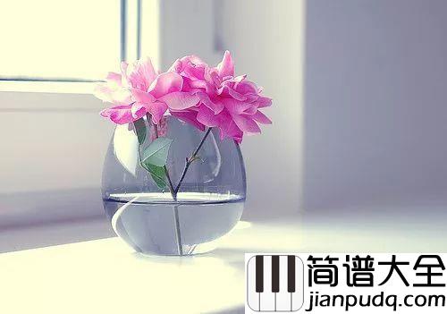 催眠曲吉他谱_贾涛戴/雨哲_每当这催眠曲响起，我又想起了你