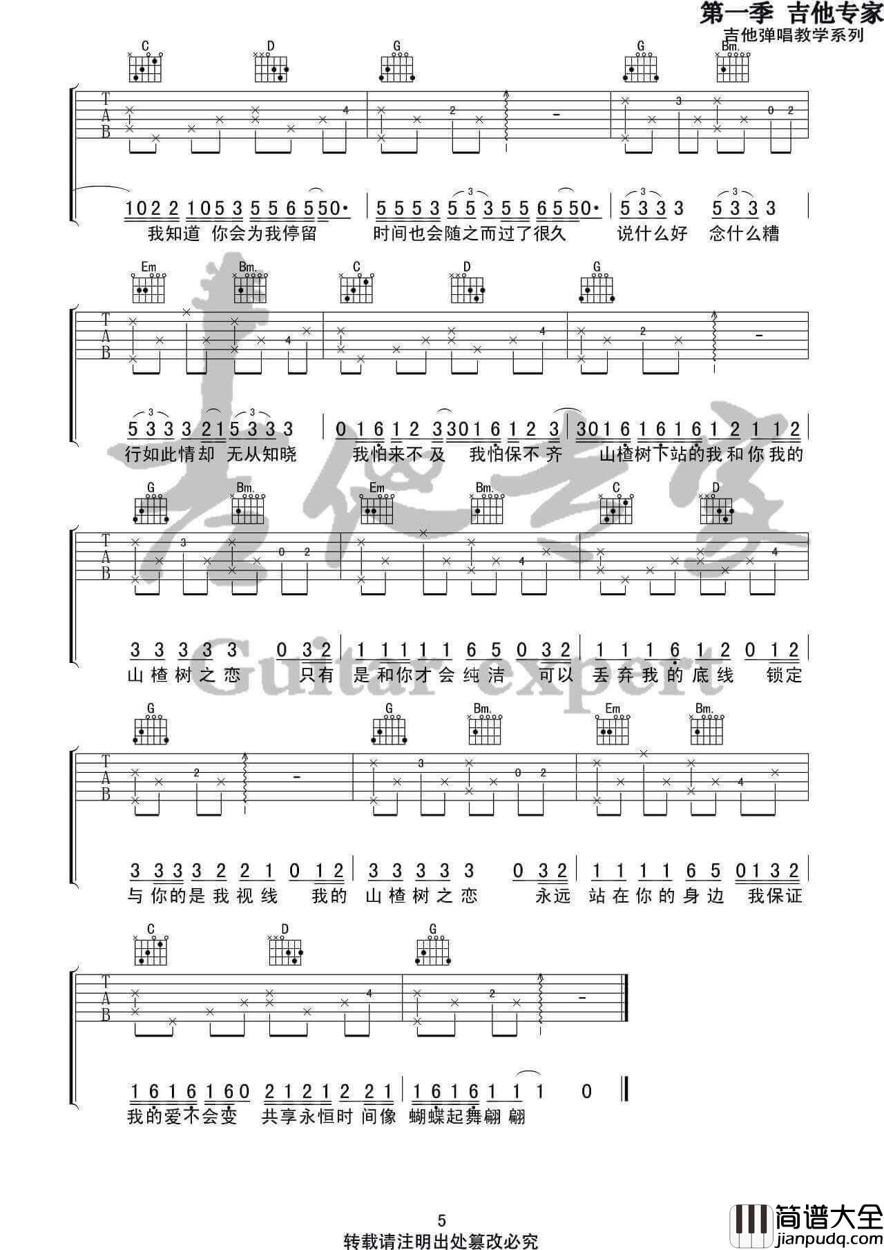 山楂树之恋吉他谱_G调精选版