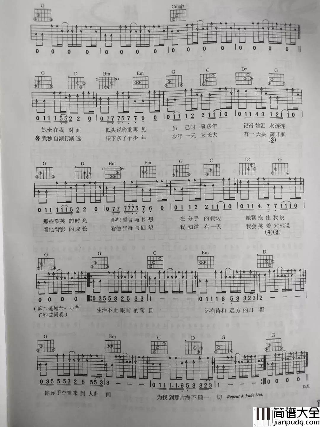 生活不止眼前的苟且_许巍_F转G吉他谱