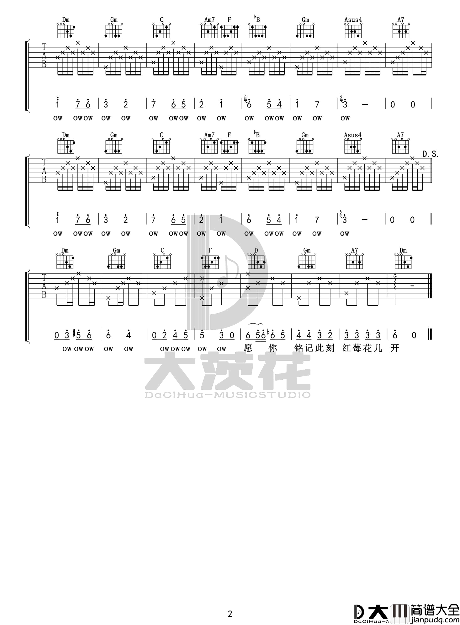 _红莓花儿开_吉他谱_毛不易_简单版弹唱六线谱