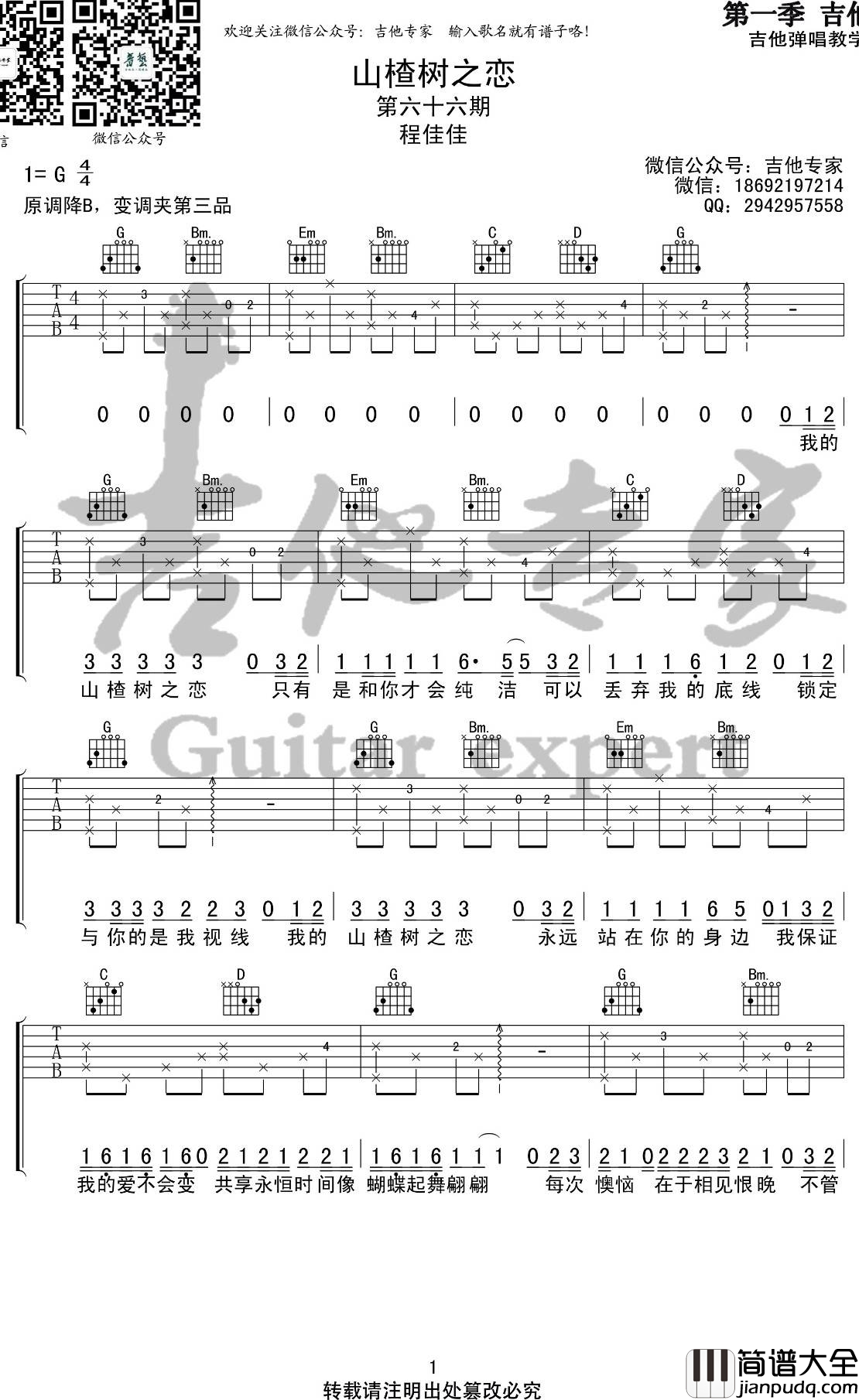 山楂树之恋吉他谱_G调吉他弹唱_大能人/程佳佳