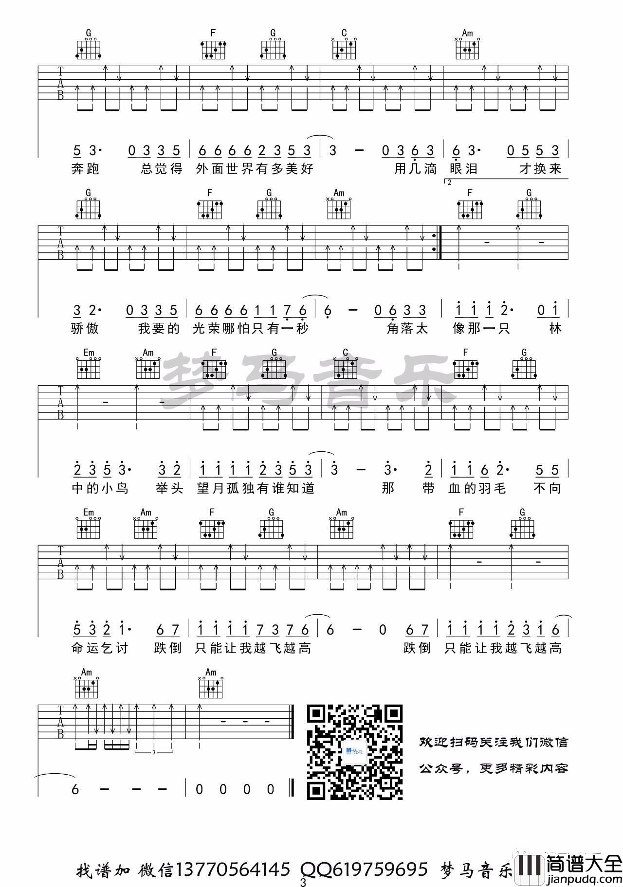 林中鸟吉他谱_C调_梦马音乐编配_葛林