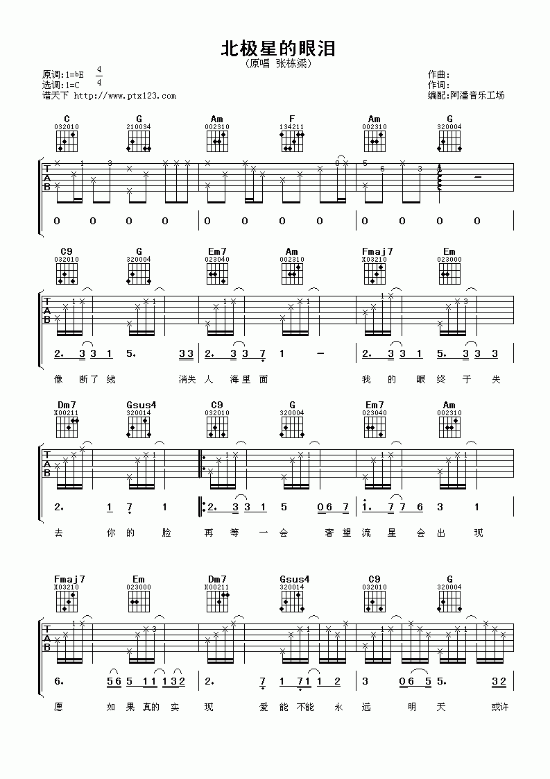 张栋梁_北极星的眼泪吉他谱