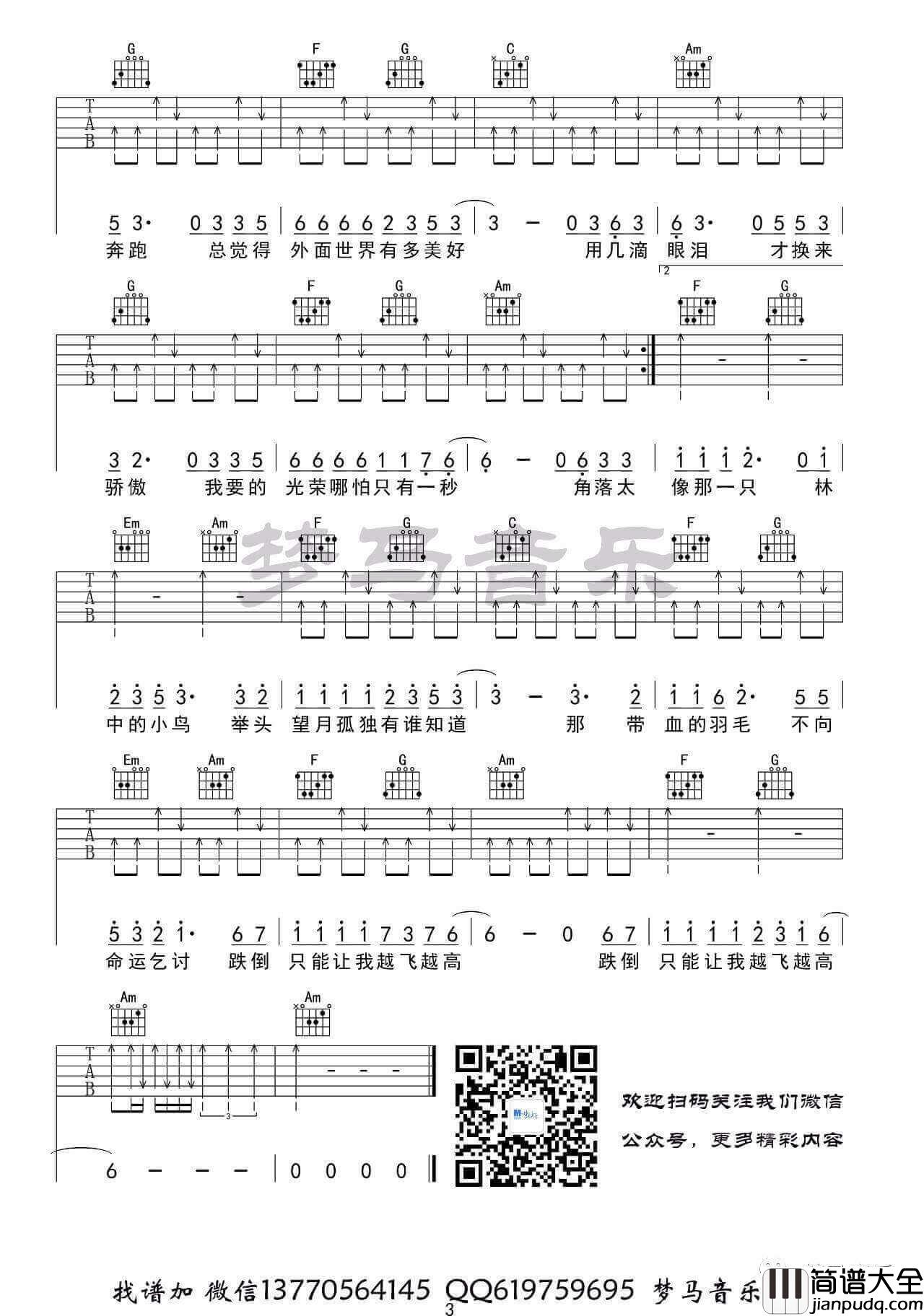 林中鸟吉他谱_C调_梦马音乐编配_葛林