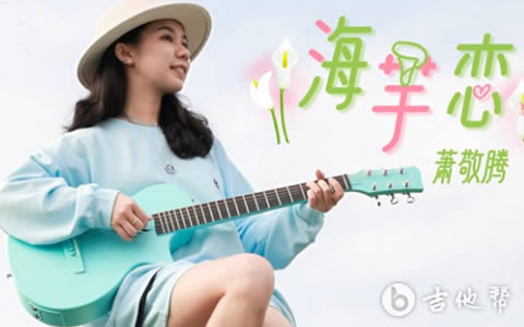 海芋恋吉他谱_G调_萧敬腾_弹唱演示/吉他教学视频