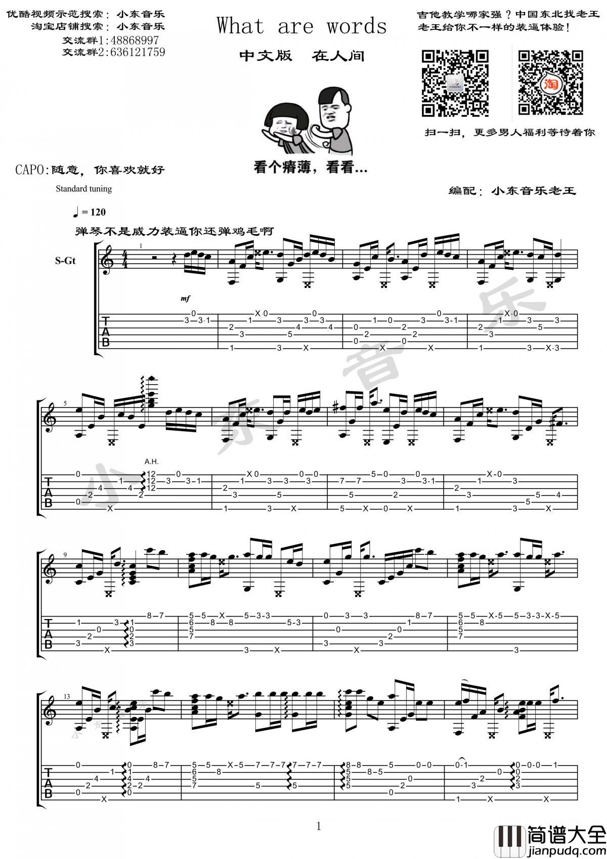 What_are_words_指弹版吉他谱_Chris_Medina