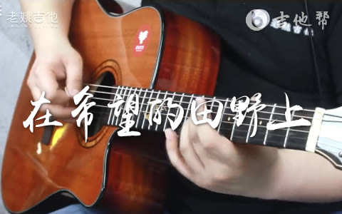 在希望的田野上吉他谱_C调_青蛙乐队_弹唱教学视频