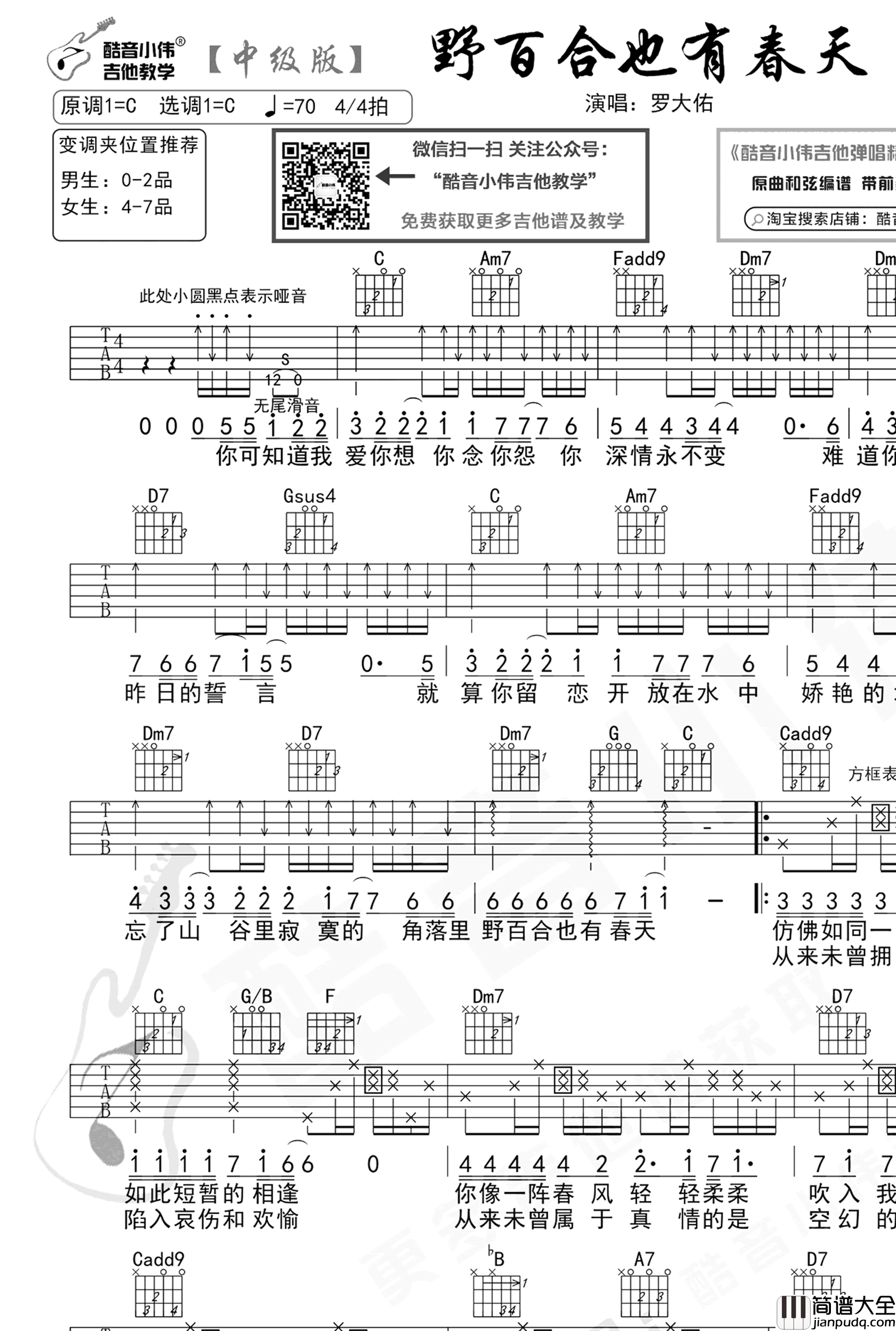 野百合也有春天吉他谱_罗大佑_C调中级版_吉他弹唱教学