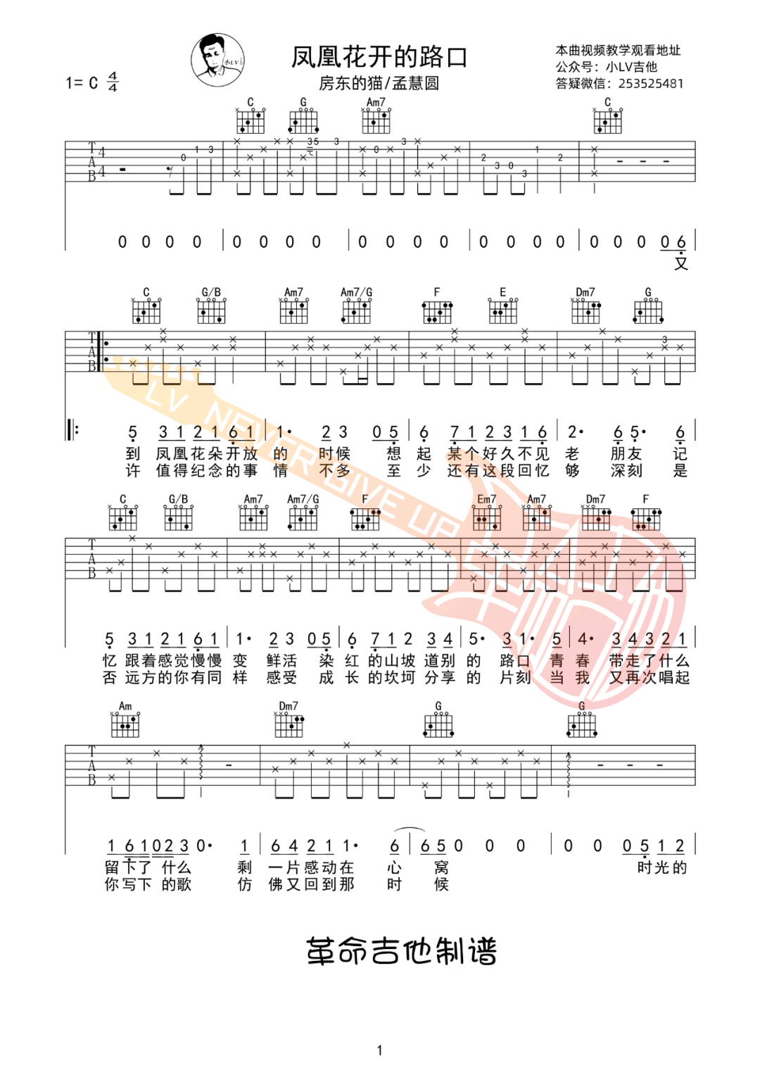 凤凰花开的路口吉他谱_房东的猫/孟慧圆_C调