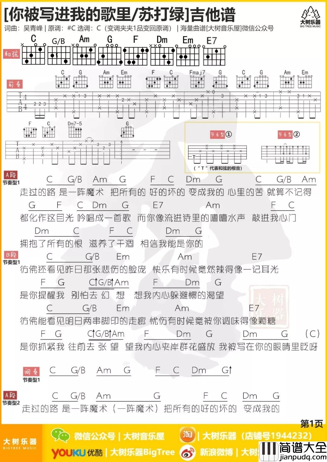 你被写进我的歌里吉他谱_C调_大树音乐屋编配_苏打绿