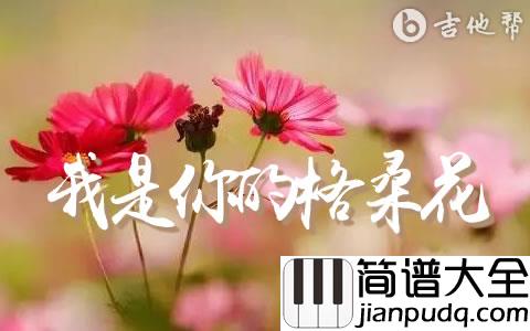 我是你的格桑花吉他谱_王琪_G调弹唱六线谱