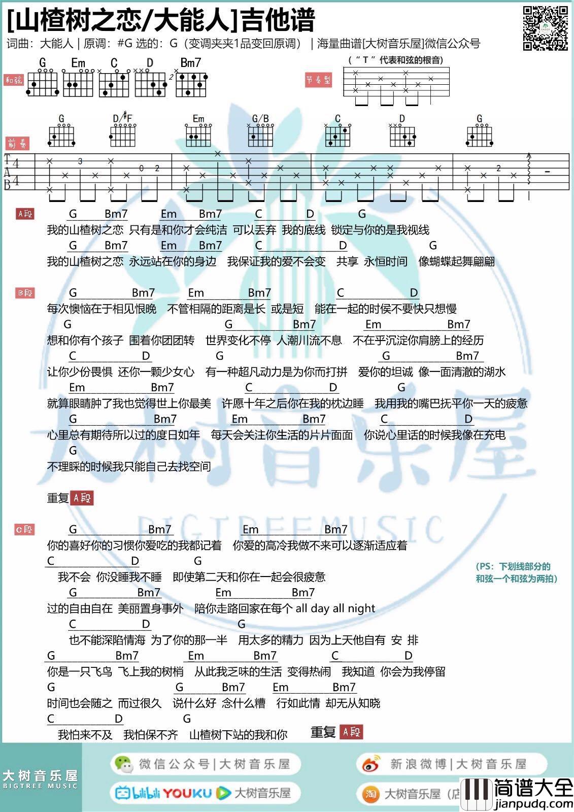 大能人_山楂树之恋_吉他谱_弹唱谱_六线谱_指弹谱