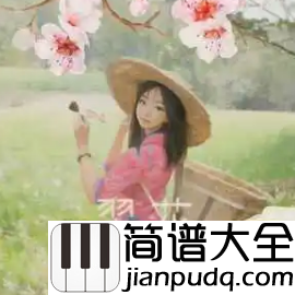 翠花吉他谱_DP龙猪_/王云宏_/陷阱表哥_C调原版吉他谱