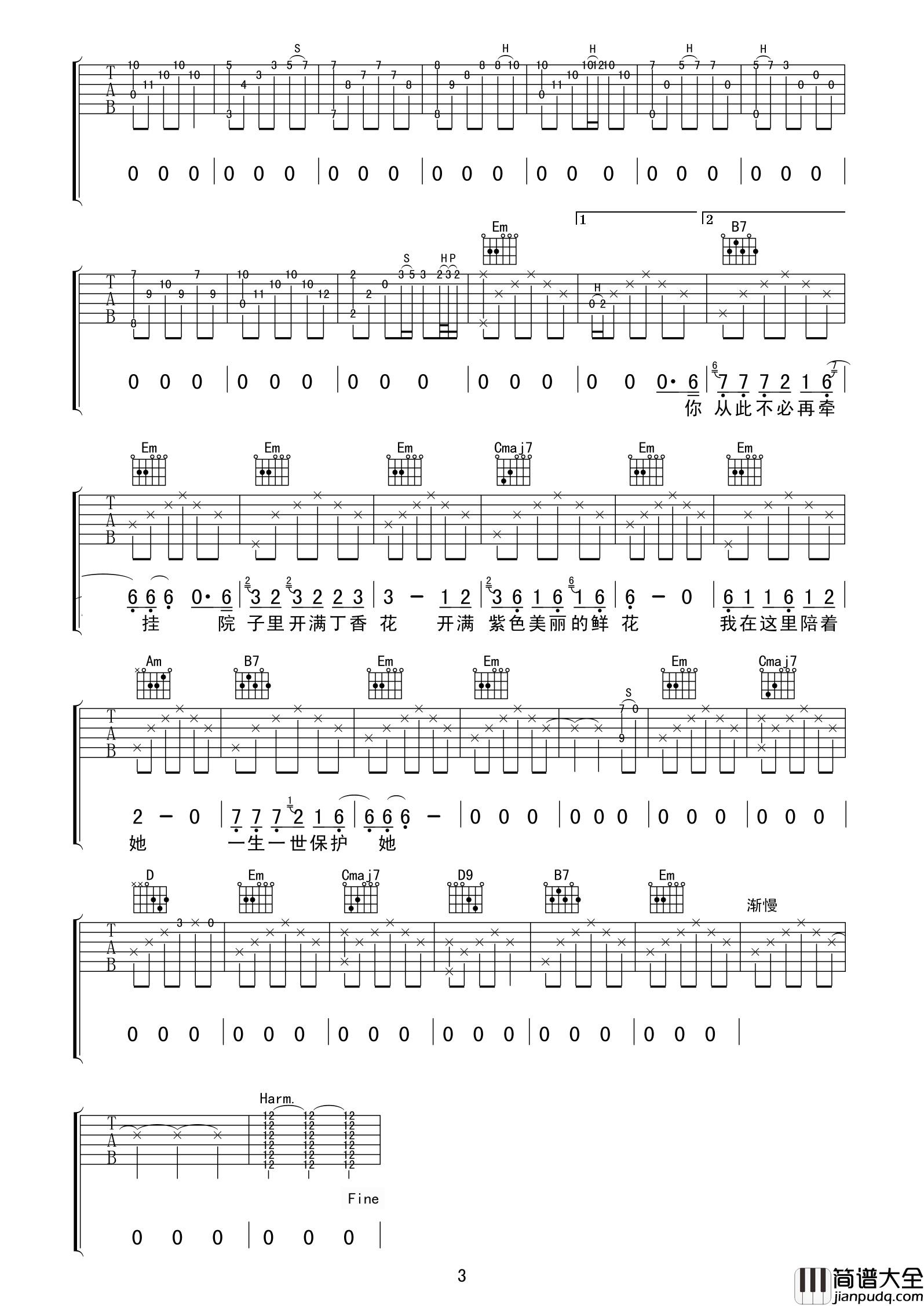 唐磊_丁香花_完美间奏__吉他谱_Guitar_Music_Score