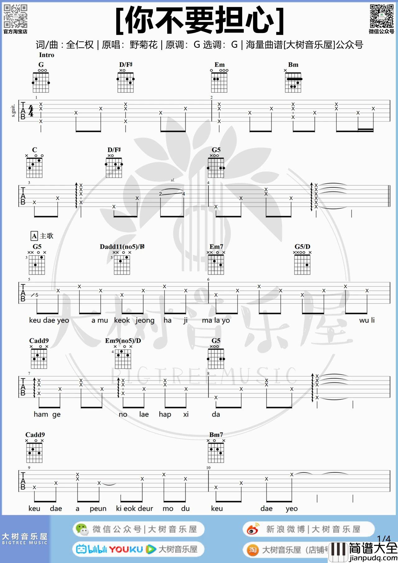 你不要担心吉他谱_野菊花_G调原调版男生调吉他谱